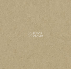 Линолеум Forbo Marmoleum Marbled Fresco 3890-389035 oat фото 1 | FLOORDEALER